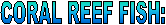 CORAL REEF FISH:
